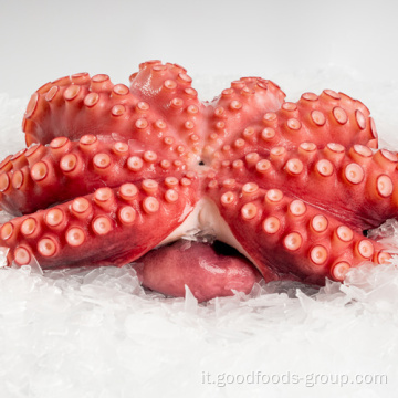 Octopus bollito intero a frutti di mare di polpo bollito di polpo